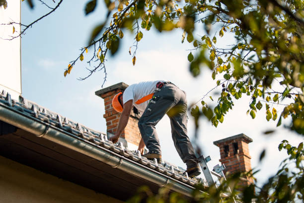 Roof Gutter Cleaning in Welcome, NC